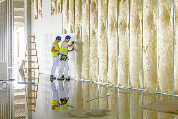 Best Residential Insulation in The Hills, NJ